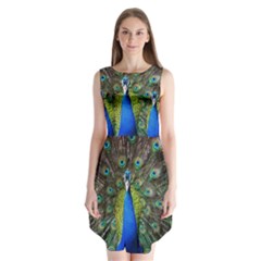 Peacock Bird Feathers Pheasant Nature Animal Texture Pattern Sleeveless Chiffon Dress   by Bedest