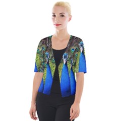 Peacock Bird Feathers Pheasant Nature Animal Texture Pattern Cropped Button Cardigan by Bedest