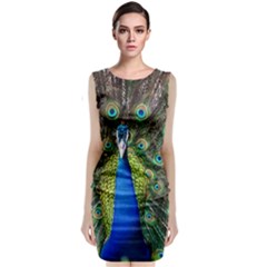 Peacock Bird Feathers Pheasant Nature Animal Texture Pattern Sleeveless Velvet Midi Dress by Bedest