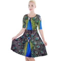 Peacock Bird Feathers Pheasant Nature Animal Texture Pattern Quarter Sleeve A-line Dress by Bedest