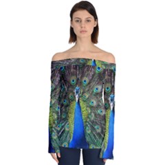 Peacock Bird Feathers Pheasant Nature Animal Texture Pattern Off Shoulder Long Sleeve Top by Bedest