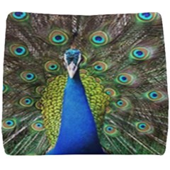 Peacock Bird Feathers Pheasant Nature Animal Texture Pattern Seat Cushion by Bedest