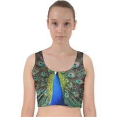 Peacock Bird Feathers Pheasant Nature Animal Texture Pattern Velvet Racer Back Crop Top by Bedest