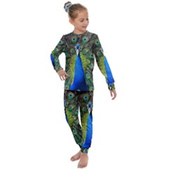 Peacock Bird Feathers Pheasant Nature Animal Texture Pattern Kids  Long Sleeve Set  by Bedest