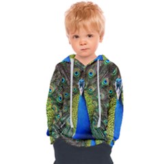 Peacock Bird Feathers Pheasant Nature Animal Texture Pattern Kids  Overhead Hoodie