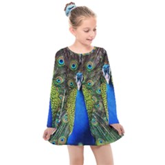 Peacock Bird Feathers Pheasant Nature Animal Texture Pattern Kids  Long Sleeve Dress by Bedest