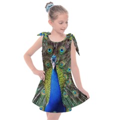 Peacock Bird Feathers Pheasant Nature Animal Texture Pattern Kids  Tie Up Tunic Dress by Bedest