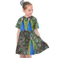 Peacock Bird Feathers Pheasant Nature Animal Texture Pattern Kids  Sailor Dress by Bedest