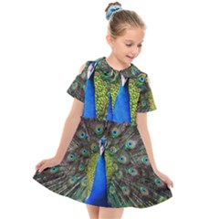 Peacock Bird Feathers Pheasant Nature Animal Texture Pattern Kids  Short Sleeve Shirt Dress by Bedest