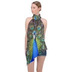 Peacock Bird Feathers Pheasant Nature Animal Texture Pattern Halter Asymmetric Satin Top by Bedest