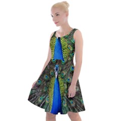 Peacock Bird Feathers Pheasant Nature Animal Texture Pattern Knee Length Skater Dress by Bedest