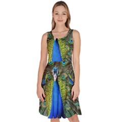 Peacock Bird Feathers Pheasant Nature Animal Texture Pattern Knee Length Skater Dress With Pockets by Bedest