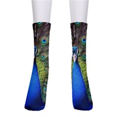 Peacock Bird Feathers Pheasant Nature Animal Texture Pattern Crew Socks by Bedest