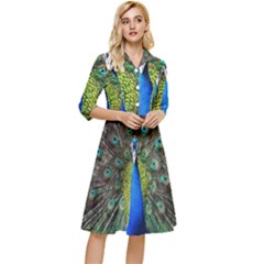 Peacock Bird Feathers Pheasant Nature Animal Texture Pattern Classy Knee Length Dress by Bedest