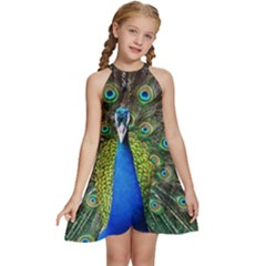 Peacock Bird Feathers Pheasant Nature Animal Texture Pattern Kids  Halter Collar Waist Tie Chiffon Dress by Bedest