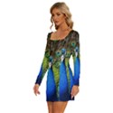 Peacock Bird Feathers Pheasant Nature Animal Texture Pattern Long Sleeve Square Neck Bodycon Velvet Dress View2