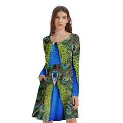 Peacock Bird Feathers Pheasant Nature Animal Texture Pattern Long Sleeve Knee Length Skater Dress With Pockets by Bedest