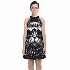 Schwarz Katze Punk Velvet Halter Neckline Dress 