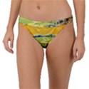 Grateful Dead Golden Road Band Bikini Bottoms View1