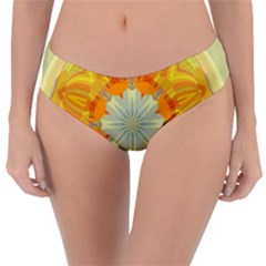 Sunshine Sunny Sun Abstract Yellow Reversible Classic Bikini Bottoms by Ravend