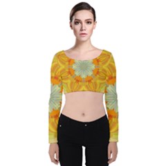 Sunshine Sunny Sun Abstract Yellow Velvet Long Sleeve Crop Top by Ravend