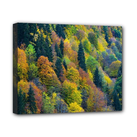 Forest Trees Leaves Fall Autumn Nature Sunshine Canvas 10  X 8  (stretched) by Ravend