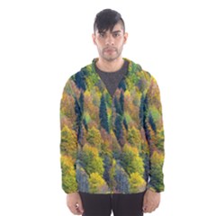 Forest Trees Leaves Fall Autumn Nature Sunshine Men s Hooded Windbreaker by Ravend