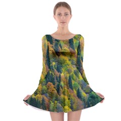 Forest Trees Leaves Fall Autumn Nature Sunshine Long Sleeve Skater Dress by Ravend