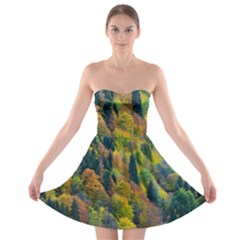 Forest Trees Leaves Fall Autumn Nature Sunshine Strapless Bra Top Dress by Ravend