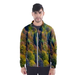 Forest Trees Leaves Fall Autumn Nature Sunshine Men s Windbreaker