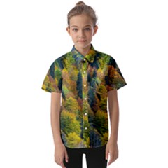 Forest Trees Leaves Fall Autumn Nature Sunshine Kids  Short Sleeve Shirt by Ravend