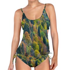 Forest Trees Leaves Fall Autumn Nature Sunshine Tankini Set by Ravend