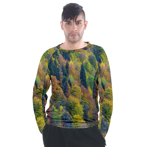 Forest Trees Leaves Fall Autumn Nature Sunshine Men s Long Sleeve Raglan T-shirt by Ravend