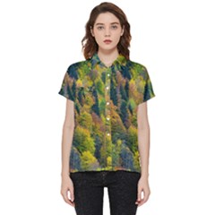 Forest Trees Leaves Fall Autumn Nature Sunshine Short Sleeve Pocket Shirt by Ravend