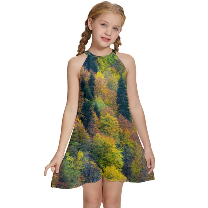 Forest Trees Leaves Fall Autumn Nature Sunshine Kids  Halter Collar Waist Tie Chiffon Dress