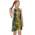 Forest Trees Leaves Fall Autumn Nature Sunshine Kids  Halter Collar Waist Tie Chiffon Dress View3