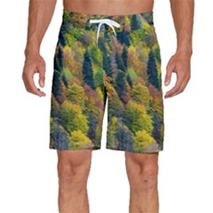 Forest Trees Leaves Fall Autumn Nature Sunshine Men s Beach Shorts by Ravend