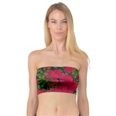 Seamless Pattern With Colorful Bush Roses Bandeau Top by Ket1n9