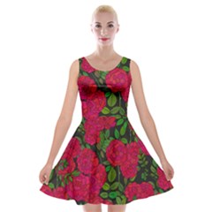 Seamless Pattern With Colorful Bush Roses Velvet Skater Dress