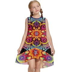 Lila Floral Blume Kids  Frill Swing Dress by 2607694c