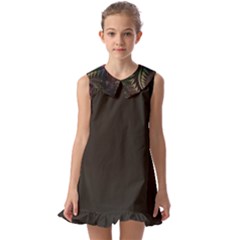 Fractal Kids  Pilgrim Collar Ruffle Hem Dress by 2607694c