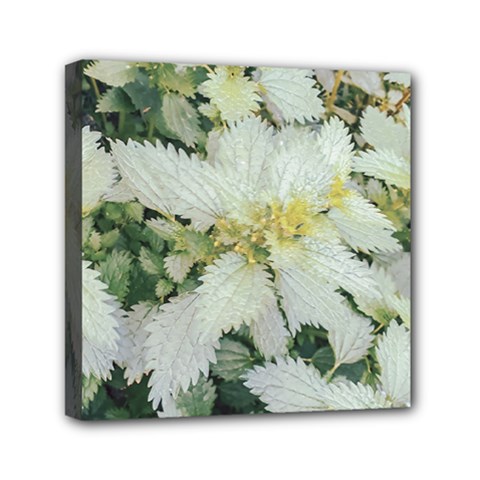 Enchanting Foliage Sharp Edged Leaves In Pale Yellow And Silver Bk Mini Canvas 6  X 6  (stretched) by dflcprintsclothing