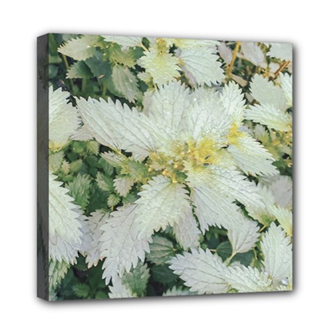 Enchanting Foliage Sharp Edged Leaves In Pale Yellow And Silver Bk Mini Canvas 8  X 8  (stretched)