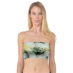 Enchanting Foliage Sharp Edged Leaves In Pale Yellow And Silver Bk Bandeau Top by dflcprintsclothing