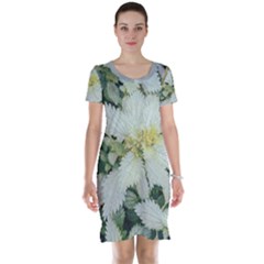 Enchanting Foliage Sharp Edged Leaves In Pale Yellow And Silver Bk Short Sleeve Nightdress