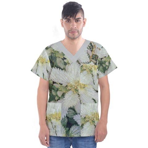 Enchanting Foliage Sharp Edged Leaves In Pale Yellow And Silver Bk Men s V-neck Scrub Top by dflcprintsclothing