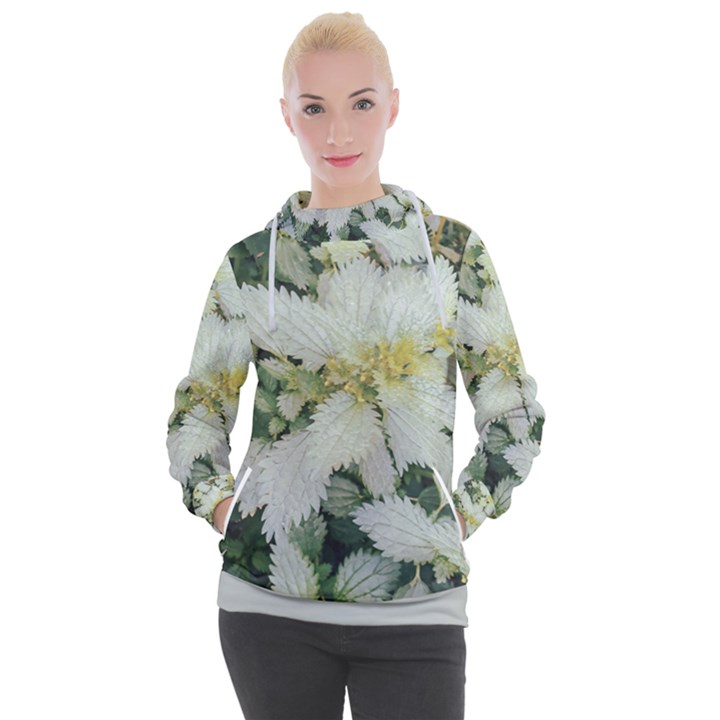 Enchanting Foliage Sharp Edged Leaves In Pale Yellow And Silver Bk Women s Hooded Pullover