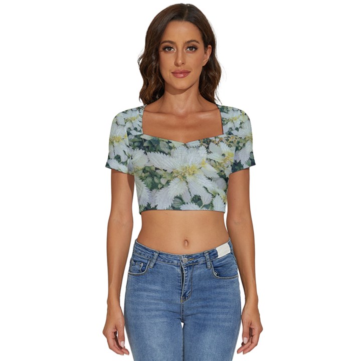 Enchanting Foliage Sharp Edged Leaves In Pale Yellow And Silver Bk Short Sleeve Square Neckline Crop Top 