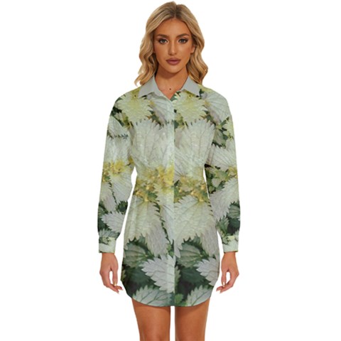 Enchanting Foliage Sharp Edged Leaves In Pale Yellow And Silver Bk Womens Long Sleeve Shirt Dress by dflcprintsclothing