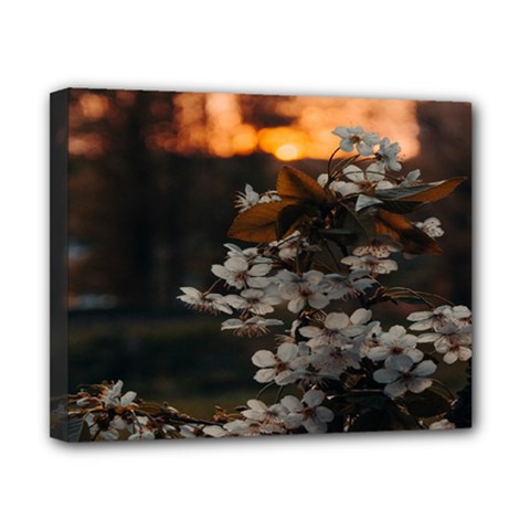 White Flower Canvas 10  X 8  (stretched)